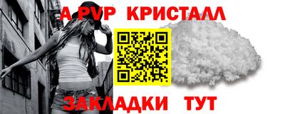 СК Рыбинск